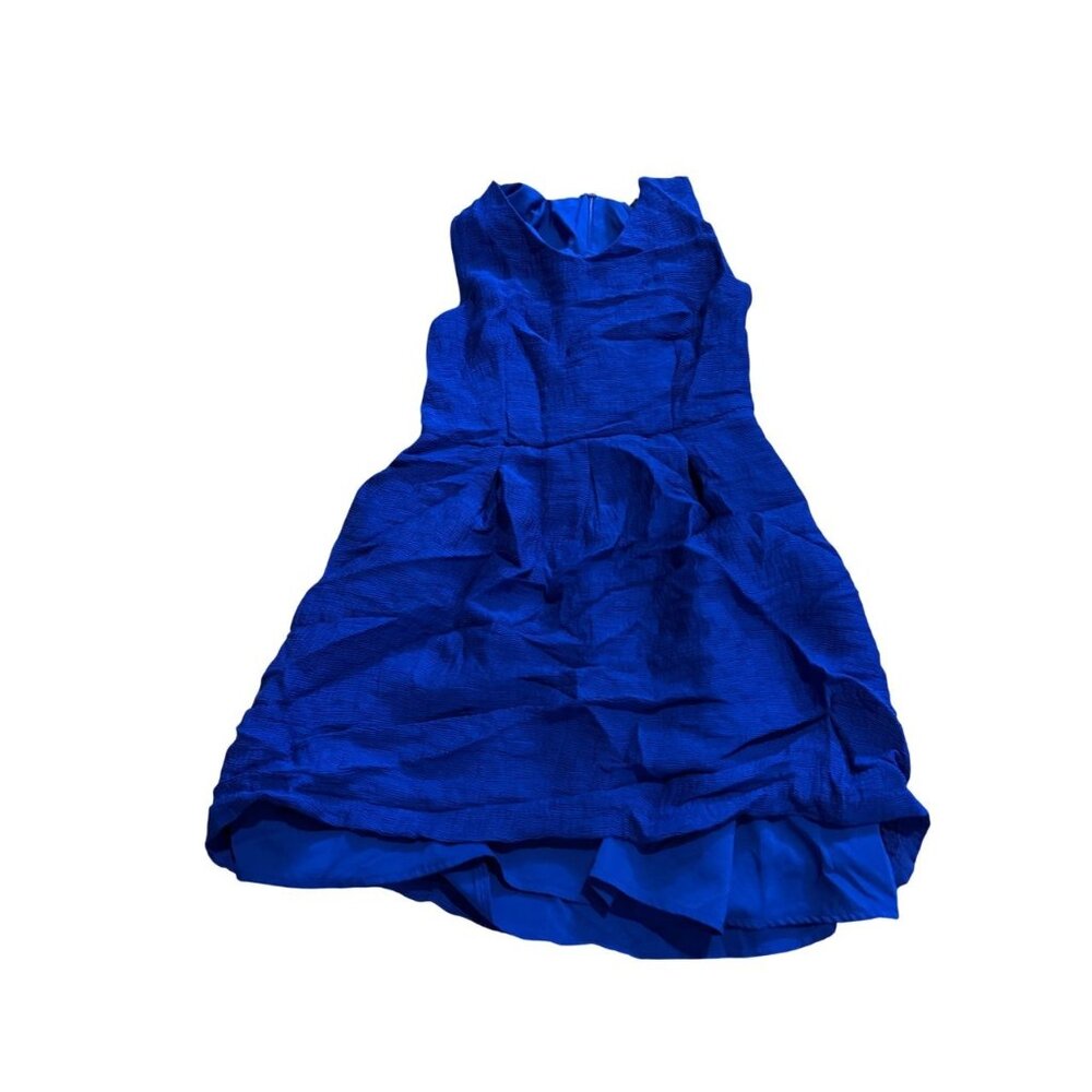 The Limited‎ Blue Dress (A3)
